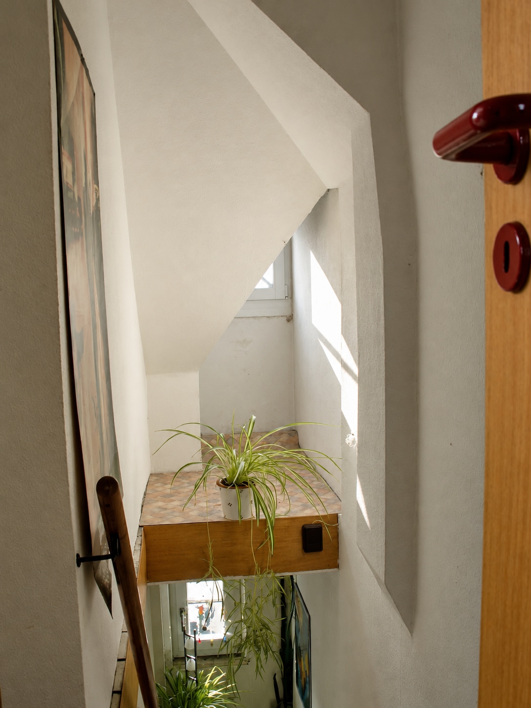 Blick durch die schmale Dachgeschossöffnung auf die Treppe und eine Pflanze